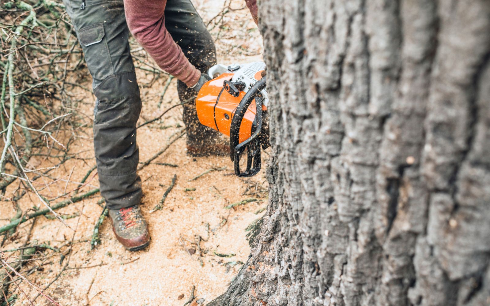 Tree Services — Landscaping website
